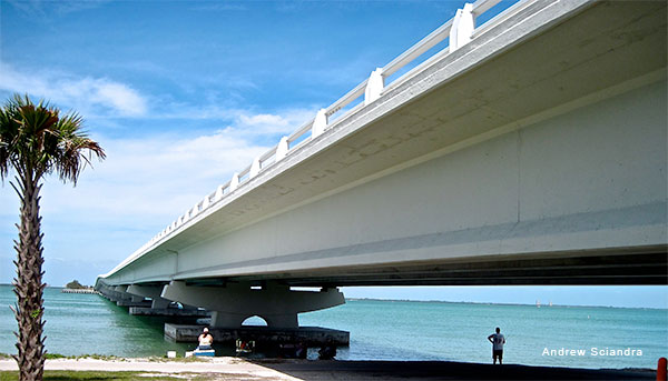 Sanibel Fishers by Andrew Sciandra